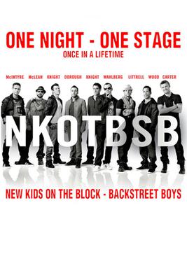 NKOTBSB CONCERT